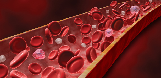 blood cells